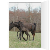 DIADHEM (Inside (Left))