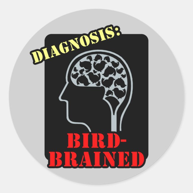 Diagnosis: Bird-Brained Classic Round Sticker (Front)