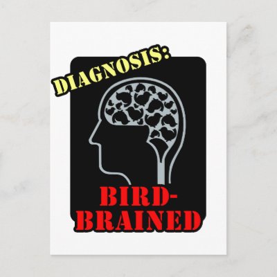 Diagnosis: Bird-Brained Postcard