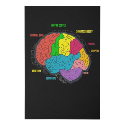 Diagram Brain Neurology Science Faux Canvas Print