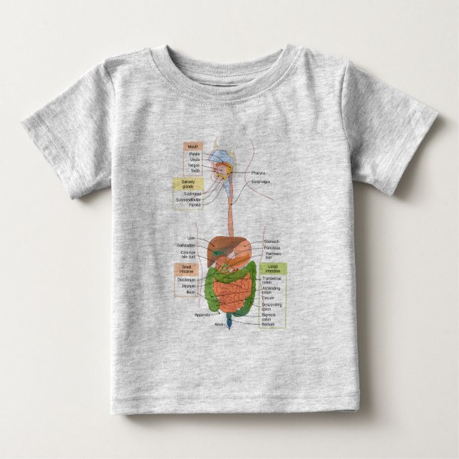 Diagram Human Gastrointestinal Digestive system  Baby T-Shirt (Front)