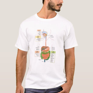Diagram Human Gastrointestinal Digestive system  T-Shirt