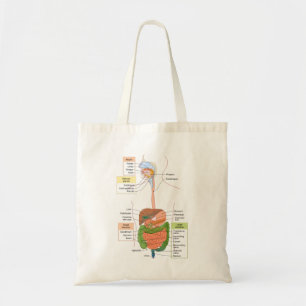 Diagram Human Gastrointestinal Digestive system Tote Bag