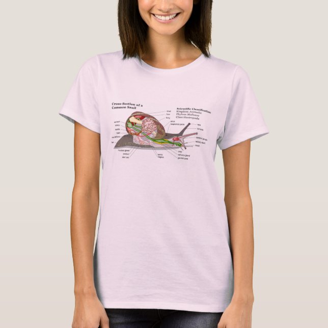 Diagram of a Common Garden Snail (Helix aspersa) T-Shirt (Front)