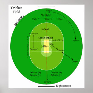 Diagram of a Grassy Oval Shaped Cricket Field Poster