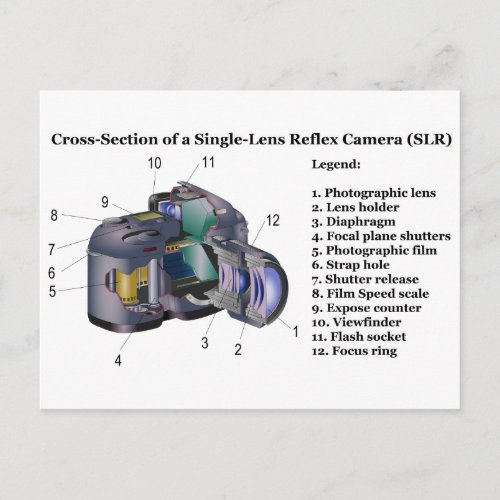 Diagram of a Single Lens Reflex Camera SLR Postcard