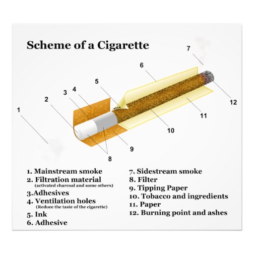 Diagram of a Tobacco Cigarette Smoking Art Photo | Zazzle