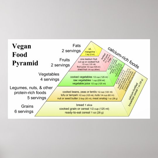 Diagram of a Vegan Diet Food Pyramid Poster | Zazzle.com diagrams of pumpkin to print 