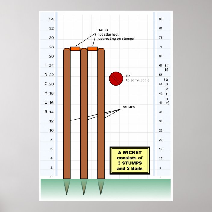 cricket scoring for dummies