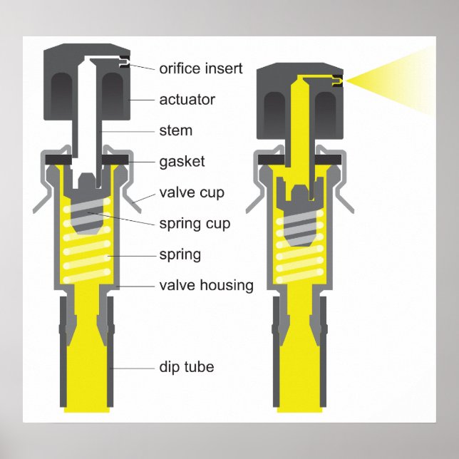 Diagram of an Aerosol Spray Valve System Poster (Front)