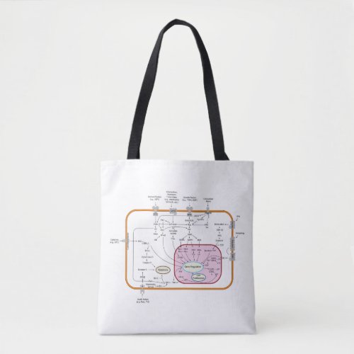 Diagram of Cell Gene Signal Transduction Pathways  Tote Bag