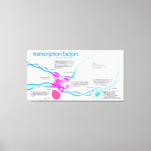 Diagram of gene transcription factors canvas print