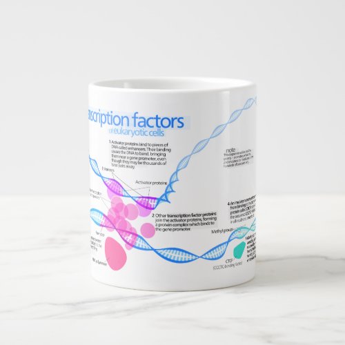 Diagram of gene transcription factors large coffee mug