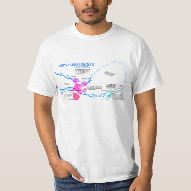 Diagram of gene transcription factors T-Shirt (Front)