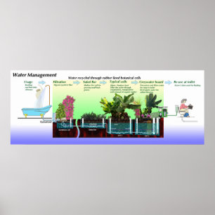 Diagram of Greywater Processing Poster