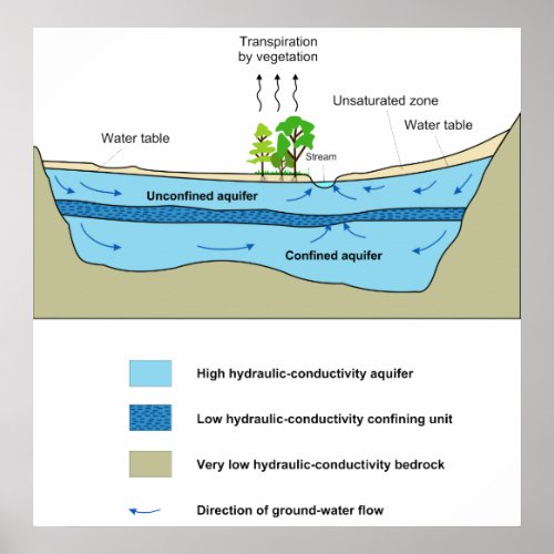 Diagram of the Aquatic Activity in an Aquifer Poster