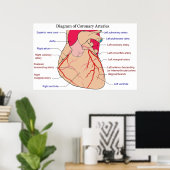 Diagram of the Coronary Arteries of a Human Heart Poster | Zazzle