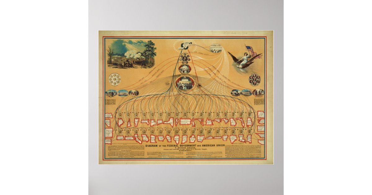 Diagram of the Federal Government & American Union Poster | Zazzle