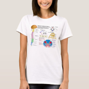 Diagram of the Human Vertebral Column T-Shirt