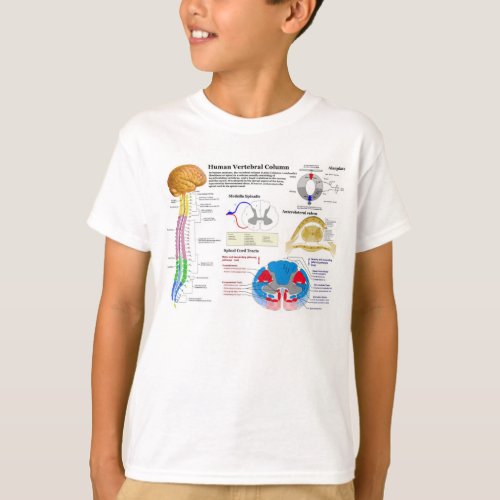 Diagram of the Human Vertebral Column T_Shirt