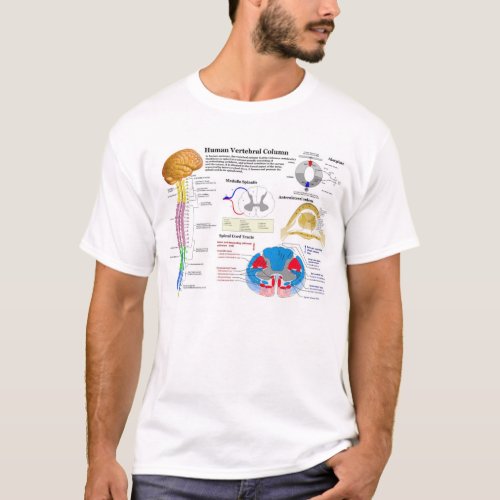 Diagram of the Human Vertebral Column T_Shirt