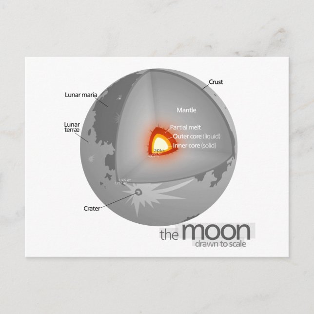 Diagram of the Internal Structure of Earth's Moon Postcard (Front)