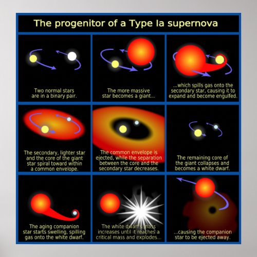 Diagram of The Progenitor of a Type Ia Supernova Poster