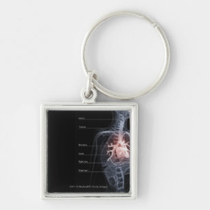 Diagram of the respiratory system and the heart keychain