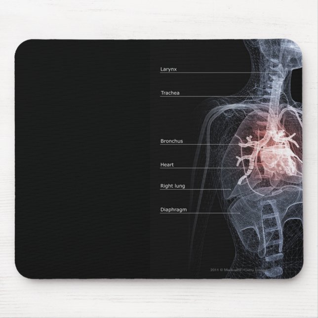 Diagram of the respiratory system and the heart mouse pad (Front)
