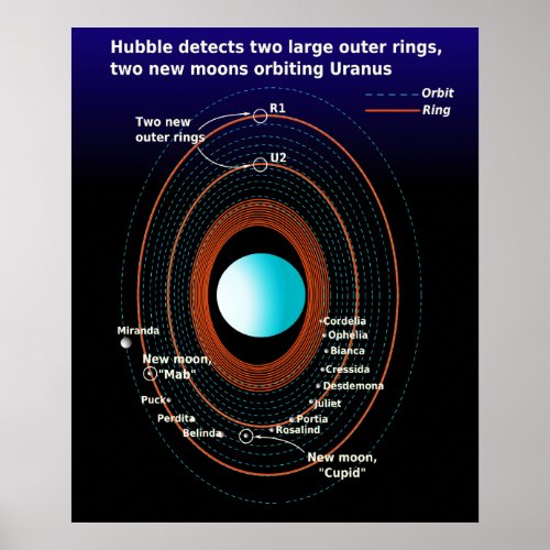 Diagram of the Rings and Close Moons of Uranus Poster
