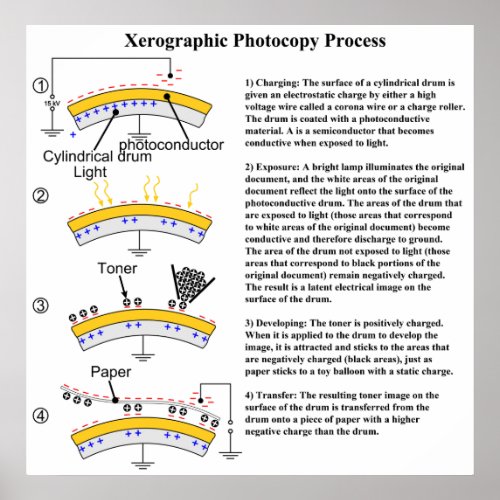 Diagram of the Xerographic Photocopy Process Poster