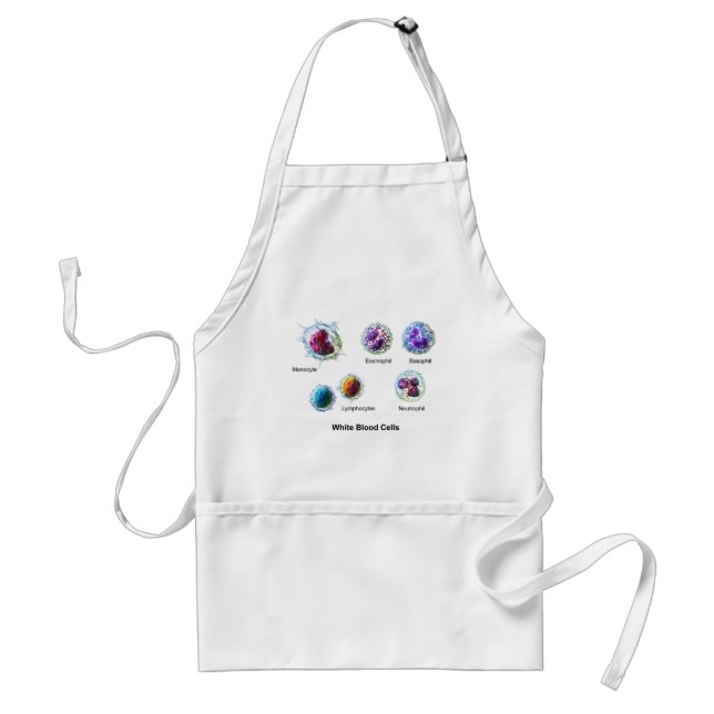 Diagram of White Blood Cells Leukocytes Adult Apron (Front)