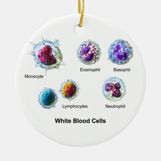 Diagram of White Blood Cells Leukocytes Ceramic Ornament (Front)