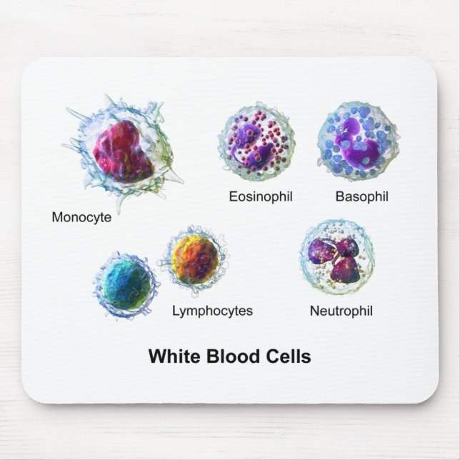 Diagram of White Blood Cells Leukocytes Mouse Pad (Front)