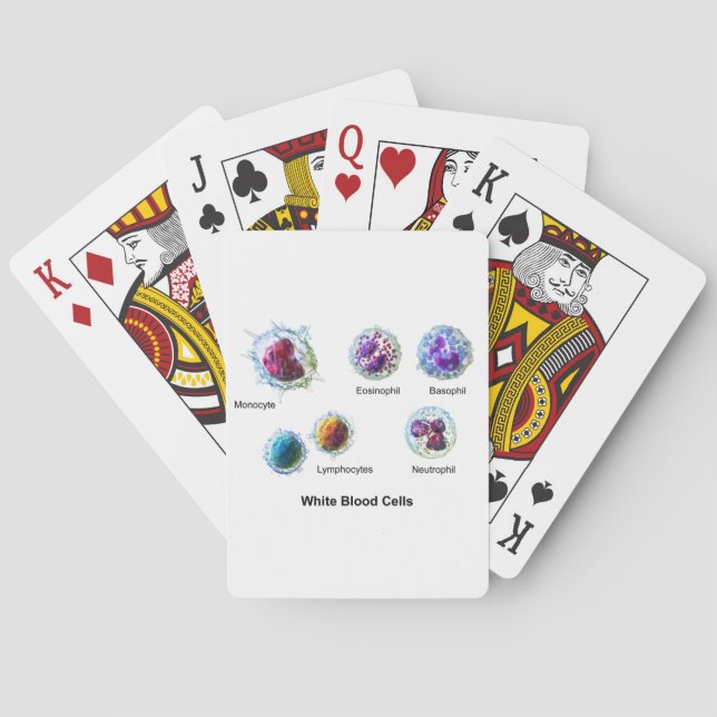 Diagram of White Blood Cells Leukocytes Poker Cards (Back)