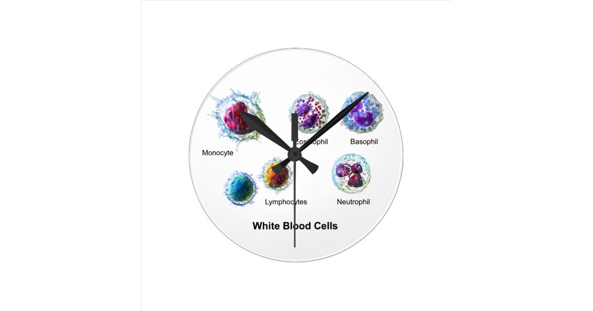 Diagram of White Blood Cells Leukocytes Round Clock | Zazzle.com