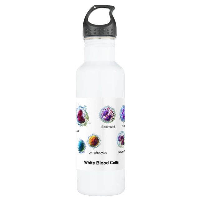 Diagram of White Blood Cells Leukocytes Stainless Steel Water Bottle (Front)