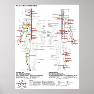 Diagram Schematic Chinese Meridians Human Body Poster