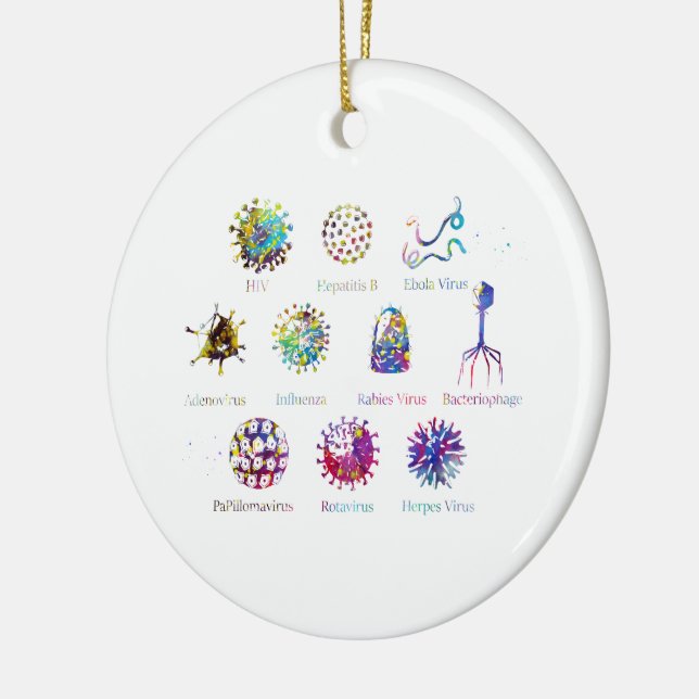 Diagram showing different kinds of viruses ceramic ornament (Left)