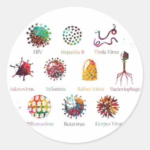 Diagram showing different kinds of viruses classic round sticker