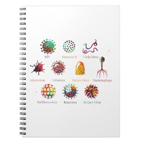 Diagram showing different kinds of viruses notebook