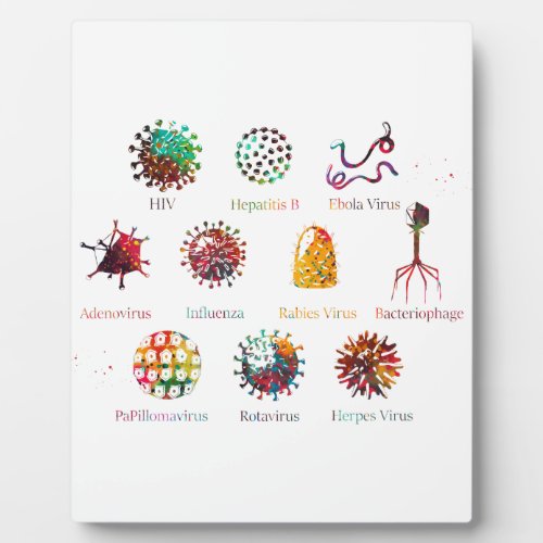 Diagram showing different kinds of viruses plaque