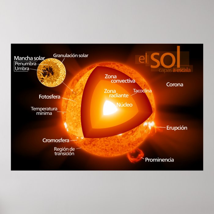 Diagrama del sol Spanish Diagram of the Sun Print