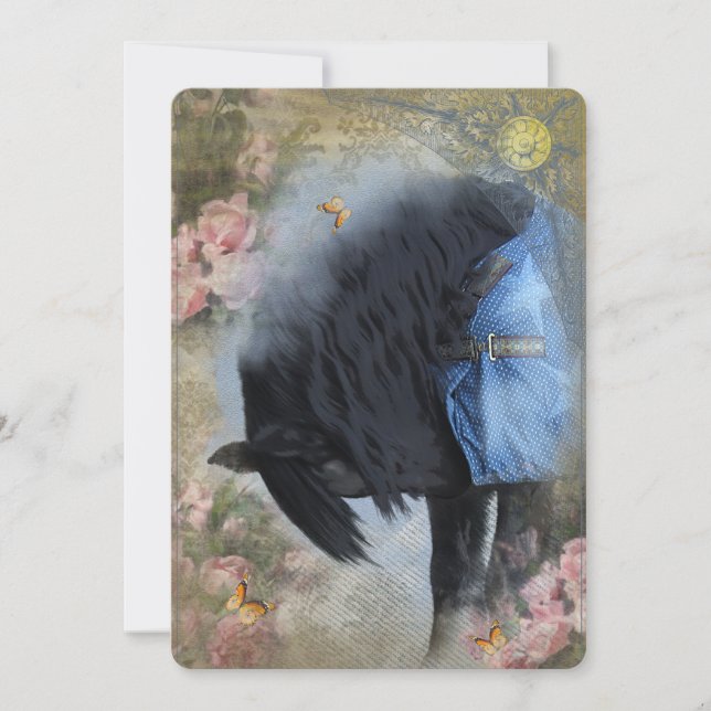 DIAMOND and his new Blanket - Greeting Card (Front)