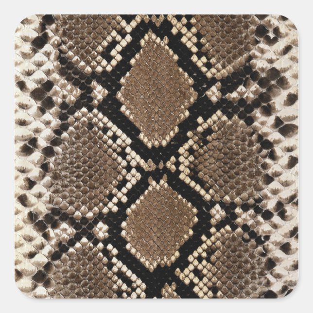 Diamond Back Rattlessnake Skin Square Sticker (Front)