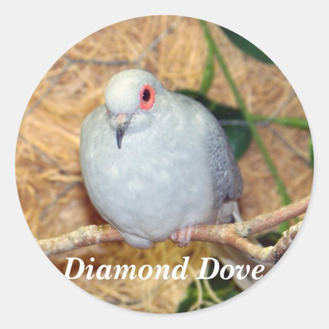 DIAMOND DOVE CLASSIC ROUND STICKER (Front)