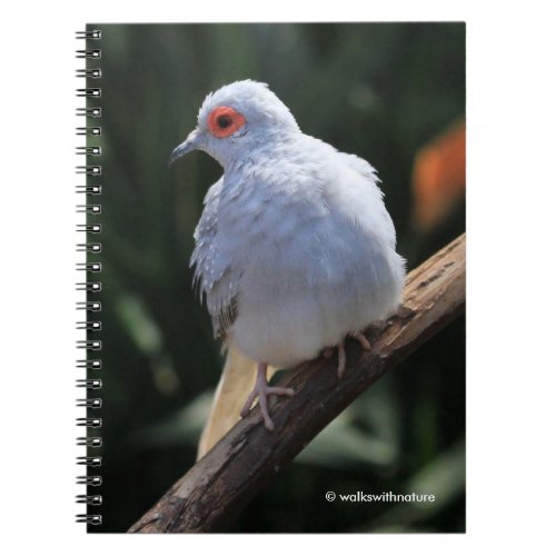 Diamond Dove in the Spotlight Notebook