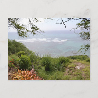 Diamond Head Look Out Postcard