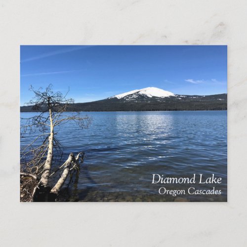 Diamond Lake Oregon Postcard