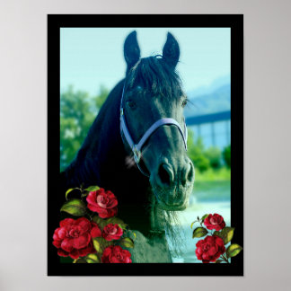 DIAMOND Portrait - Poster